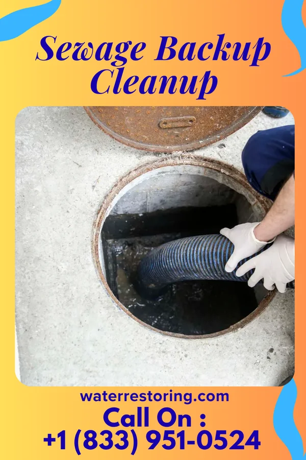 Sewage Backup Cleanup in Waterville, ME